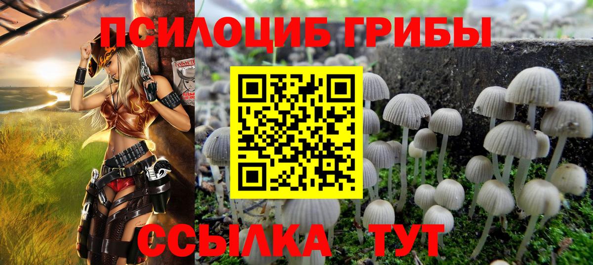 Галлюциногенные грибы MAGIC MUSHROOMS  Вход с VPN  Галлюциногенные грибы Magic Shrooms  Елец 