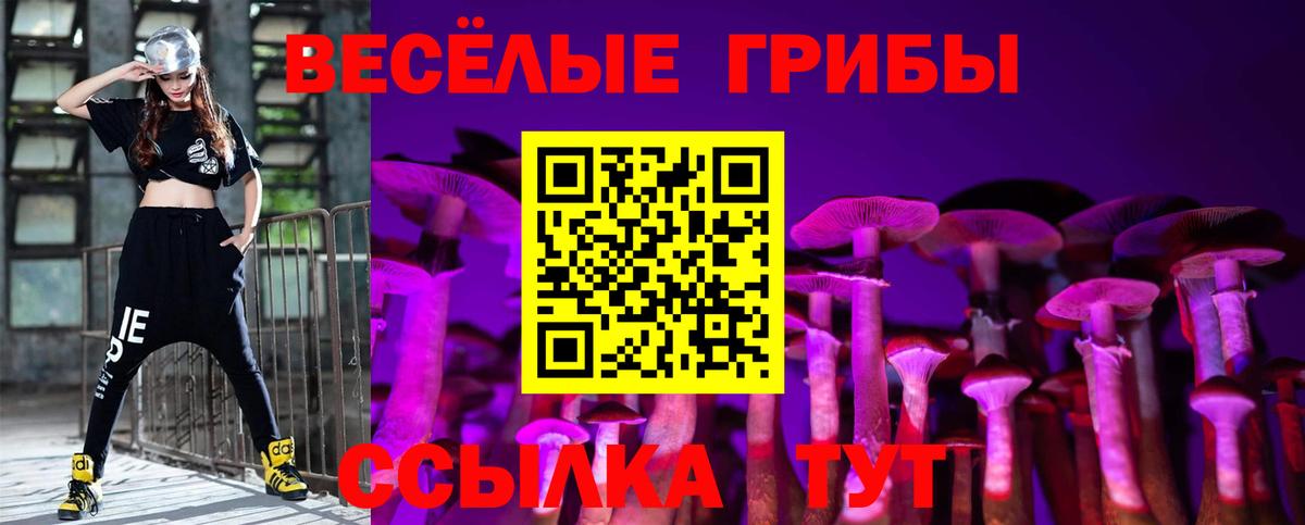 Галлюциногенные грибы прущие грибы Елец